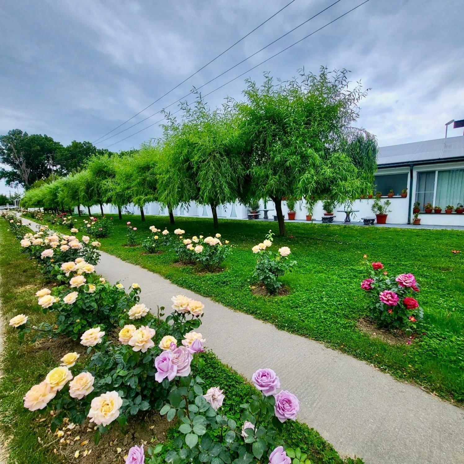 Hotel Royal Park Complex Bascov Zewnętrze zdjęcie